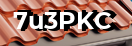 Введите код с картинки