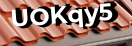 Введите код с картинки