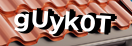 Введите код с картинки