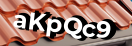 Введите код с картинки
