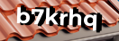 Введите код с картинки