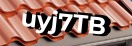 Введите код с картинки