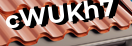 Введите код с картинки