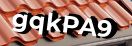 Введите код с картинки
