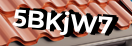 Введите код с картинки