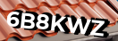 Введите код с картинки