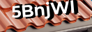 Введите код с картинки