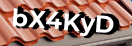 Введите код с картинки