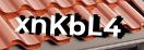 Введите код с картинки