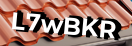 Введите код с картинки