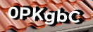 Введите код с картинки