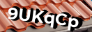 Введите код с картинки