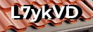 Введите код с картинки