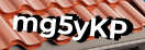 Введите код с картинки