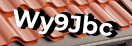 Введите код с картинки