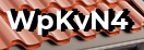 Введите код с картинки