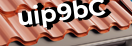 Введите код с картинки