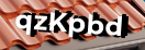 Введите код с картинки