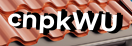 Введите код с картинки