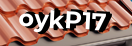 Введите код с картинки
