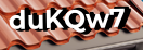 Введите код с картинки