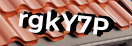 Введите код с картинки