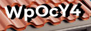 Введите код с картинки