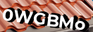 Введите код с картинки