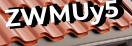 Введите код с картинки