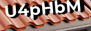Введите код с картинки