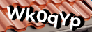 Введите код с картинки