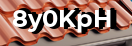 Введите код с картинки