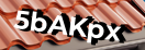 Введите код с картинки