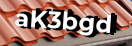 Введите код с картинки