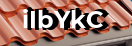 Введите код с картинки
