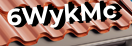 Введите код с картинки