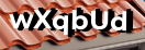 Введите код с картинки