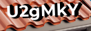 Введите код с картинки