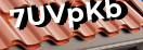 Введите код с картинки