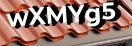 Введите код с картинки