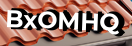 Введите код с картинки