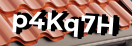 Введите код с картинки