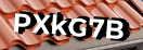 Введите код с картинки