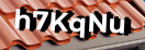 Введите код с картинки