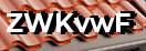 Введите код с картинки