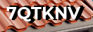 Введите код с картинки