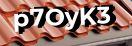 Введите код с картинки