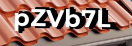 Введите код с картинки