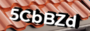 Введите код с картинки
