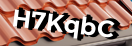 Введите код с картинки